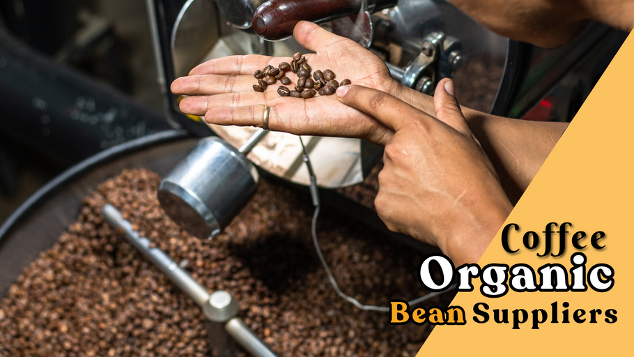 Best Australian Organic Coffee Bean Suppliers for Your Daily Brew