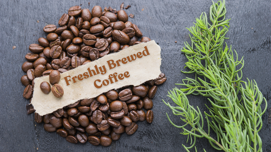 Exploring Rare and Exotic Coffee Bean Varieties