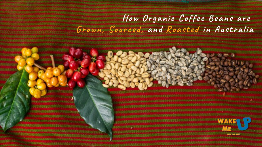 How Organic Coffee Beans are Grown, Sourced, and Roasted in Australia