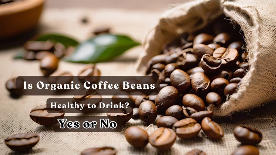 Is Organic Coffee Beans Healthy to Drink?