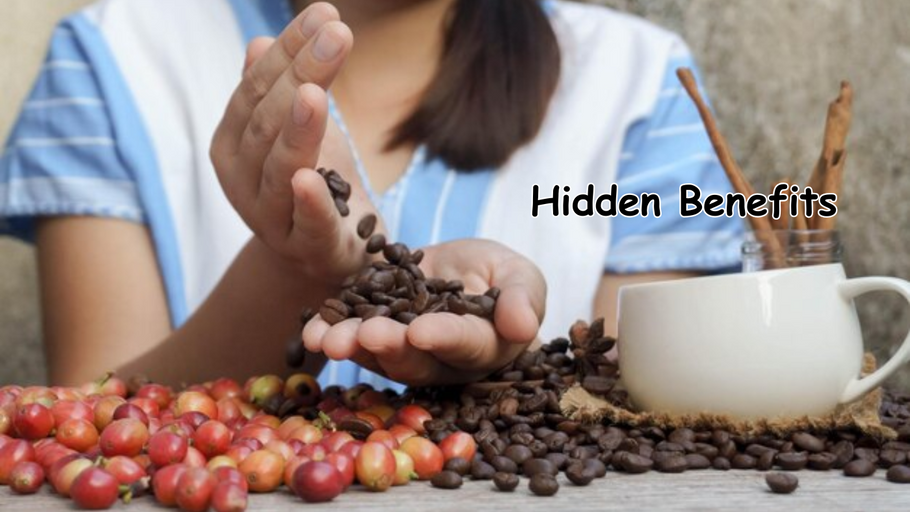 Why You Should Drink Organic Coffee Beans Every Day