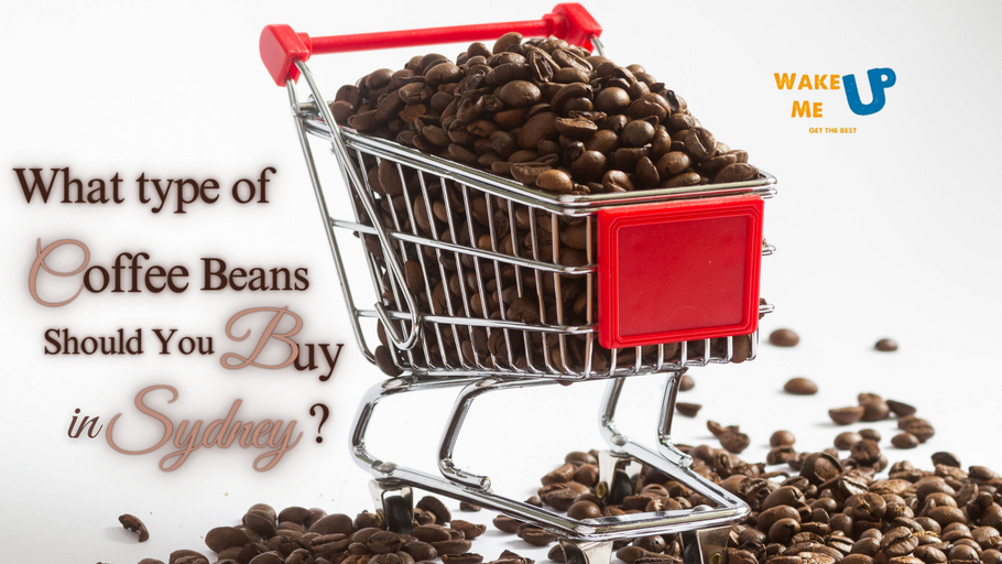 What type of Coffee Beans should You Buy?